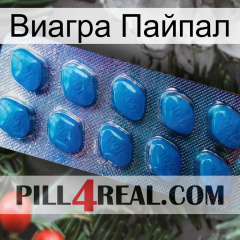 Виагра Пайпал viagra1